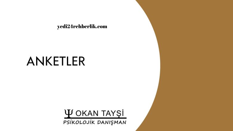  ANKETLER