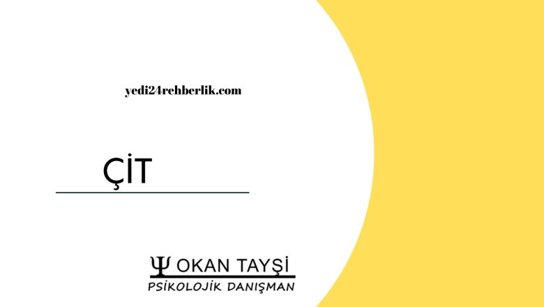  ÇİT