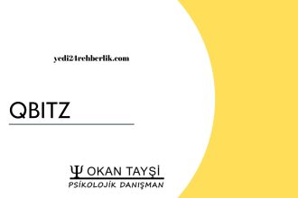 QBITZ