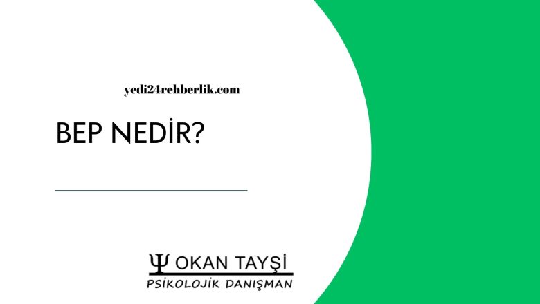  BEP(Bireyselleştirilmiş Eğitim Planı)