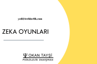 ZEKA OYUNLARI